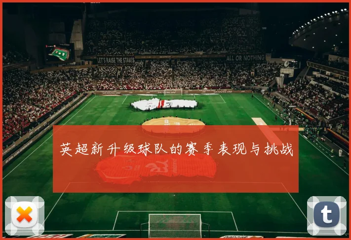 英超新升级球队的赛季表现与挑战